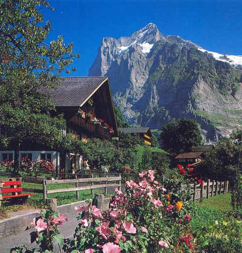View of Grindelwald